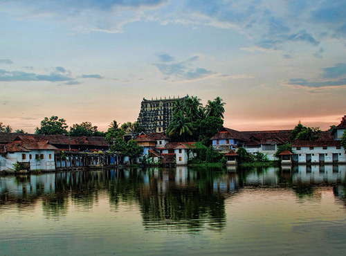 Munnar Tourism Kerala, Places in Kerala, Grassroot Holidays