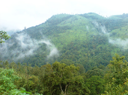 Peerumedu, Hill places, Kerala Places, Attractive, Grassroot Holidays